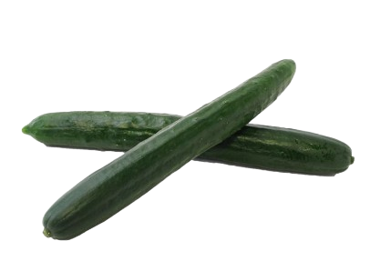 Seedless Cucumber Individual