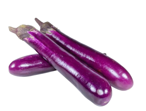 Chinese Eggplant individual