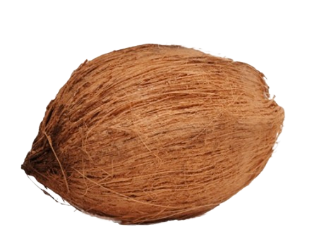 Pooja Coconut