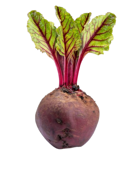 Fresh Beets
