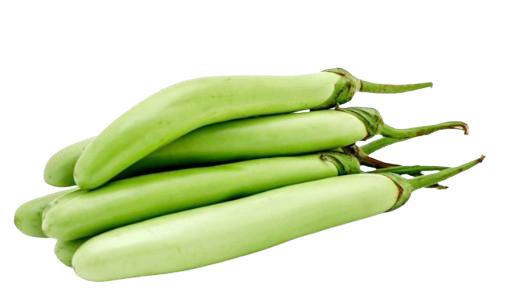 Long Green Eggplant