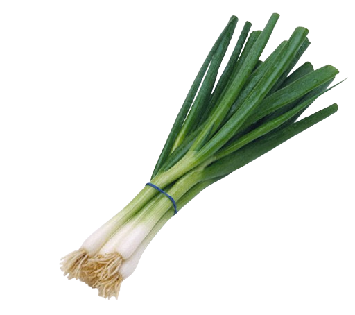 Fresh Green Onions