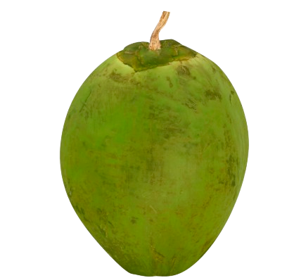 Green Coconut