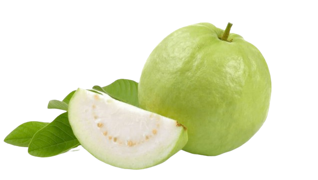 Fresh Guava Individual