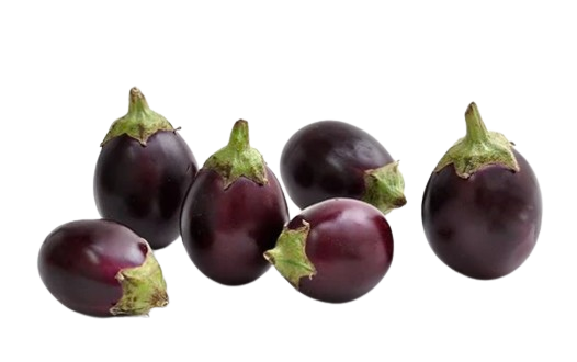 Indian Eggplant