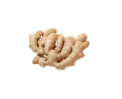 Indian Ginger