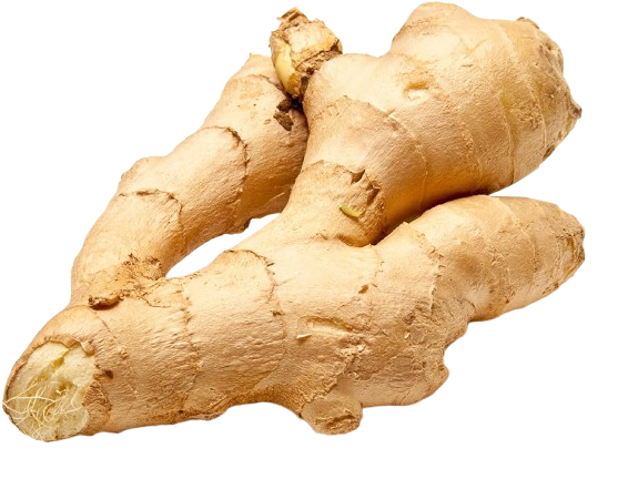 Ginger