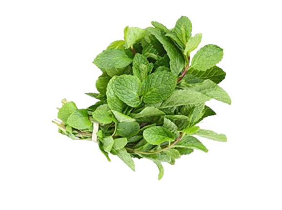 Mint Leaves Packet