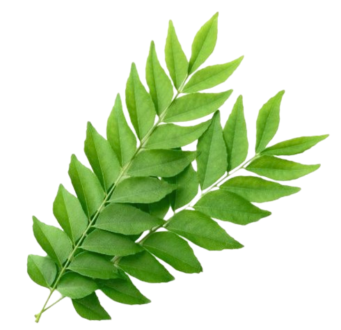 Curry Leaves Packet