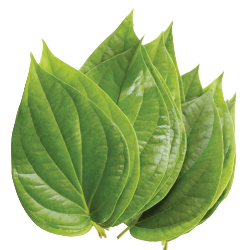 Paan Leaves