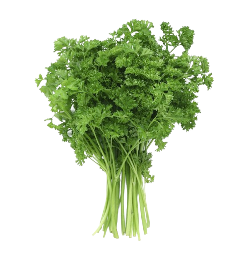 Fresh Parsley