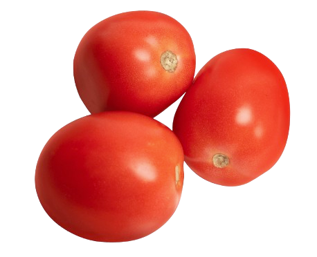 Roma Tomatos Individual