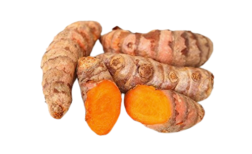 Yellow Turmeric Root