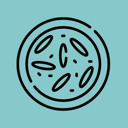 Collection image for: Dals/Lentils