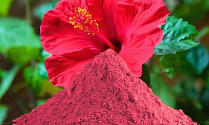 YRS Hibiscus Powder