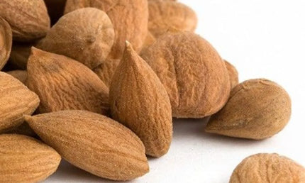 Raghav Kernal Apricot 200gm