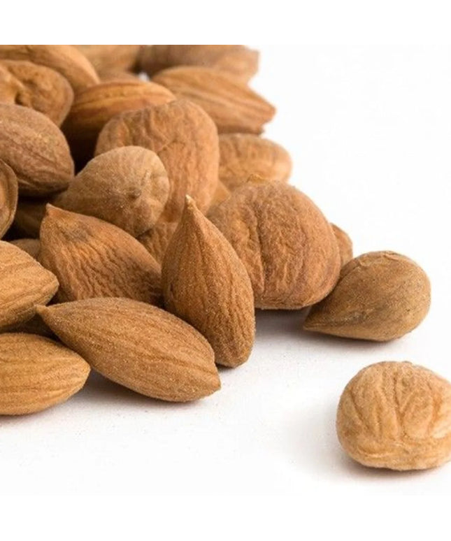 Raghav Kernal Apricot 200gm