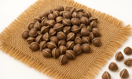Moringa Seeds