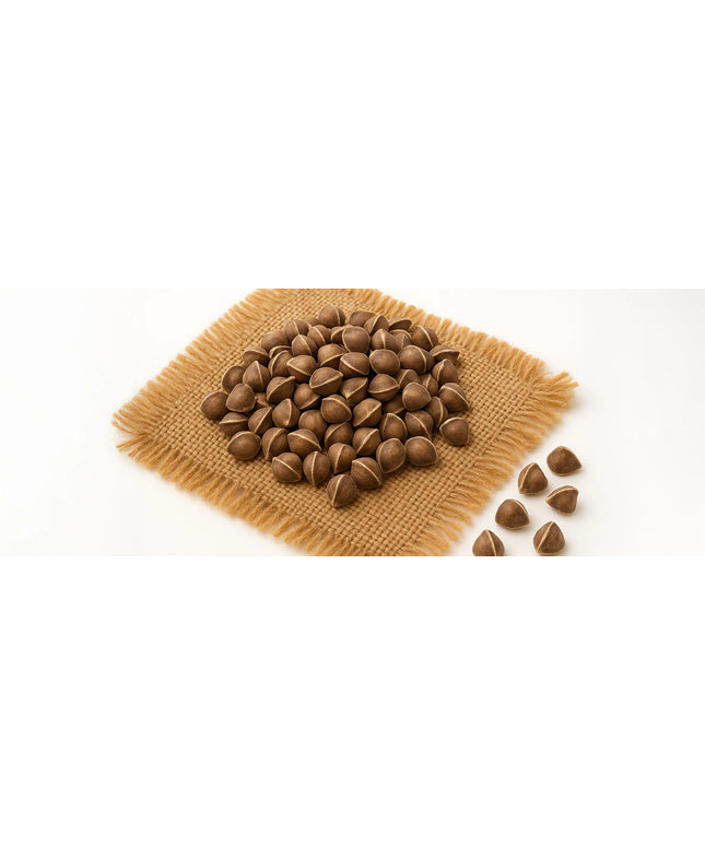 Moringa Seeds