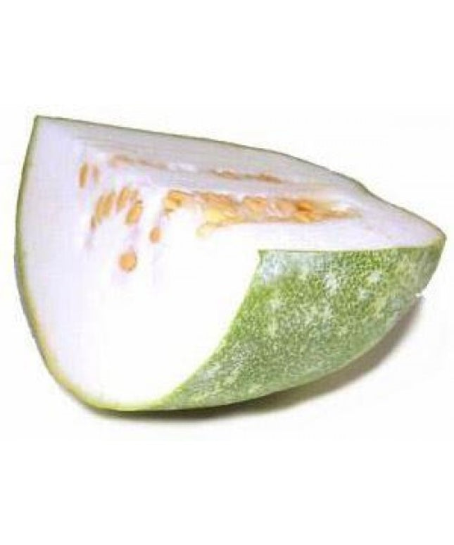 White Pumpkin Cut Piece