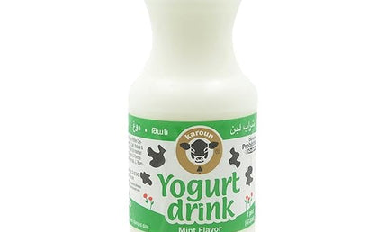 Karoun Mint Yogurt Drink 473ml