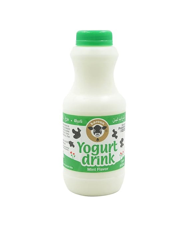 Karoun Mint Yogurt Drink 473ml