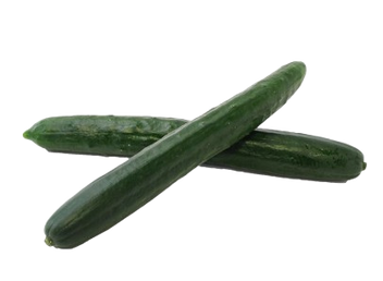 Seedless Cucumber Individual