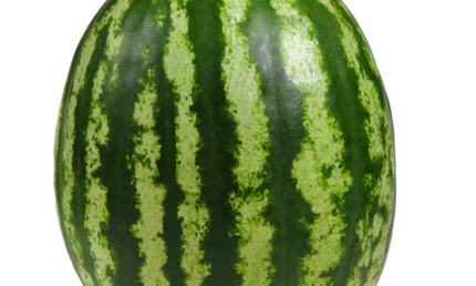 Watermelon Individual