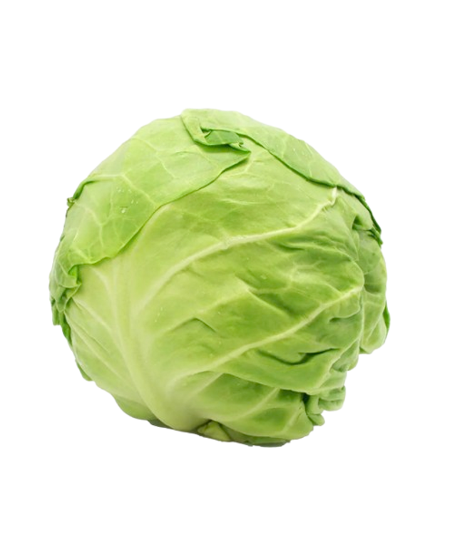 Green Cabbage Individual