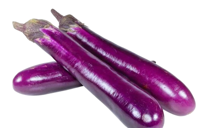 Chinese Eggplant individual
