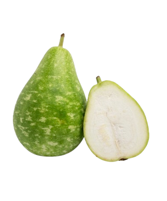 Bengali Lauki/Dudhi Individual