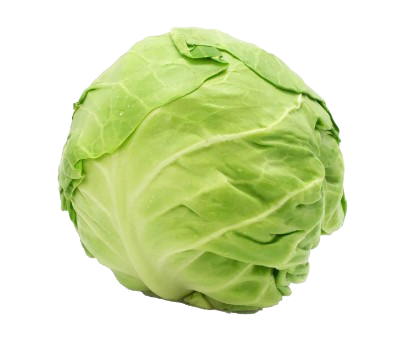 Green Cabbage