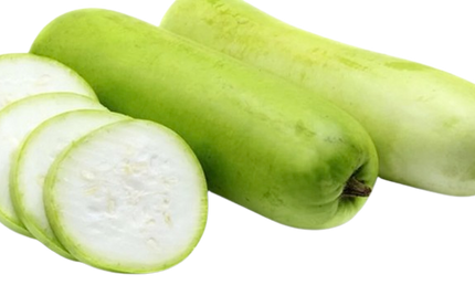 Desi Lauki/Dudhi Individual