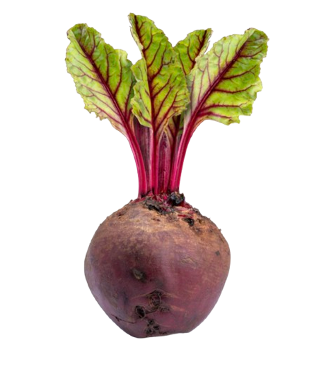 Fresh Beets 1lbs
