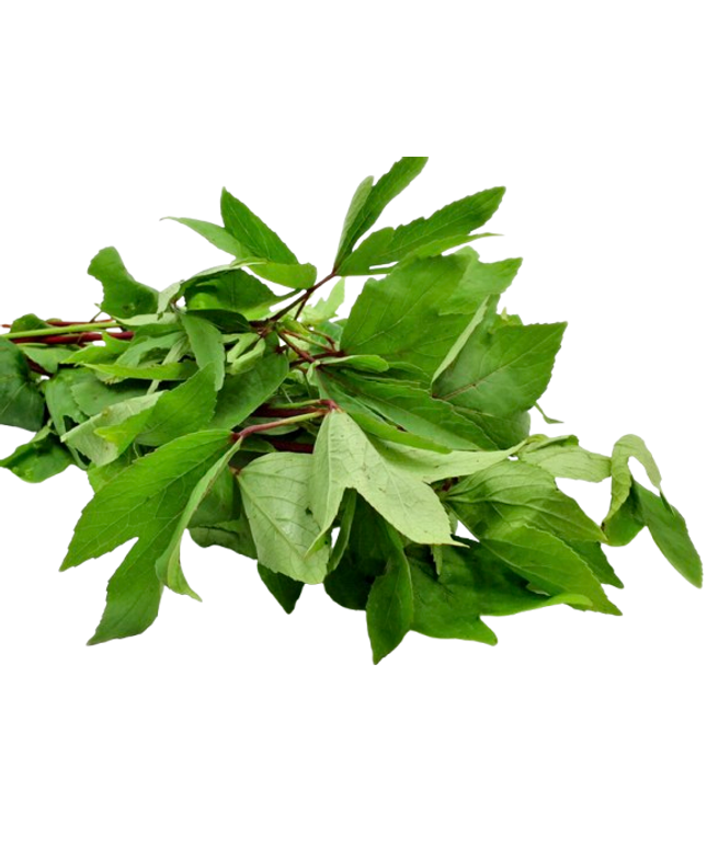 Fresh Gongura Packet