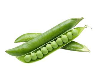 Fresh Green Peas 1lbs