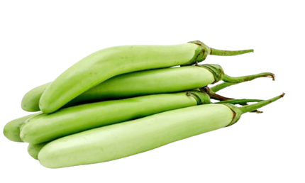 Long Green Eggplant Individual