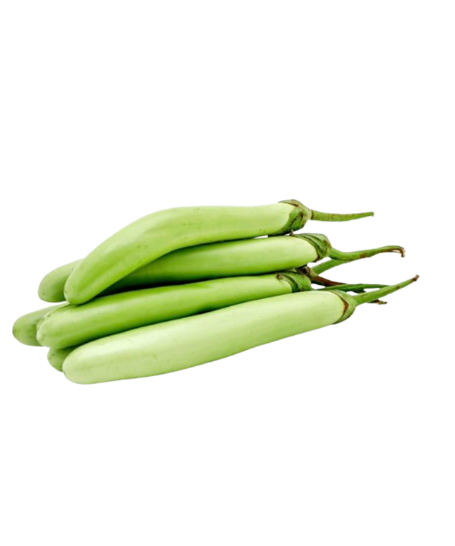 Long Green Eggplant Individual