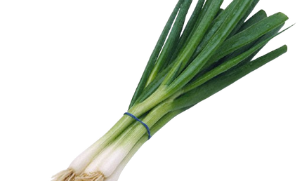 Fresh Green Onions Bunch