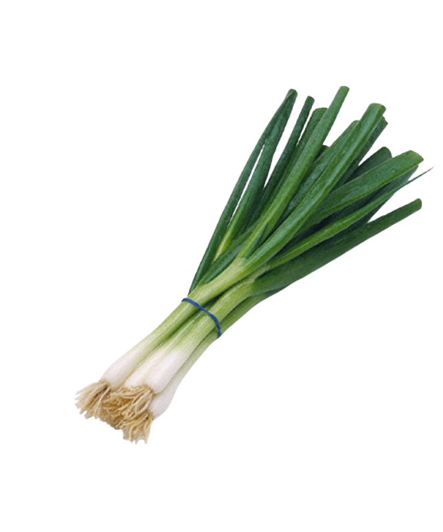 Fresh Green Onions Bunch