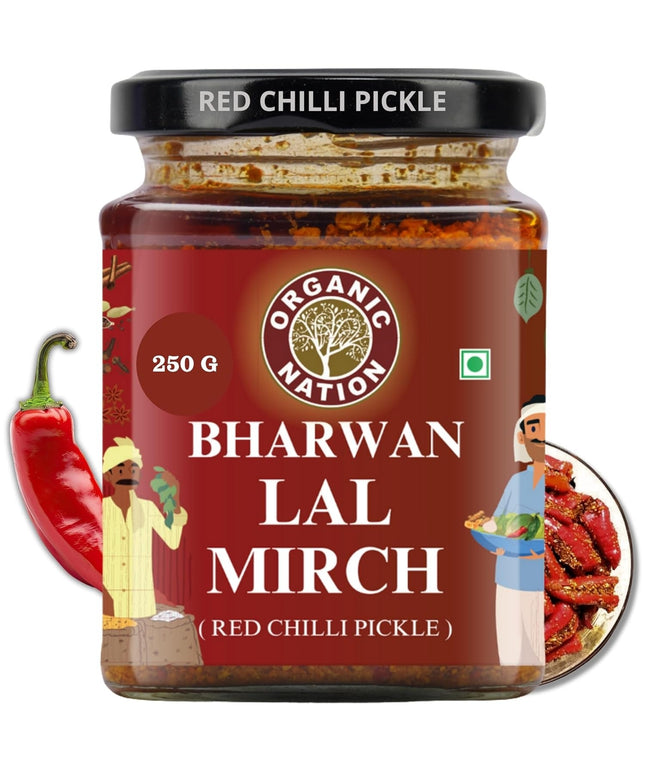 Deep Bharwa Mirchi Pickle 14oz