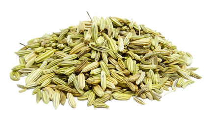 Kakarki Fennel Seeds 100g