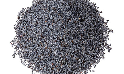 Chaksu Seeds