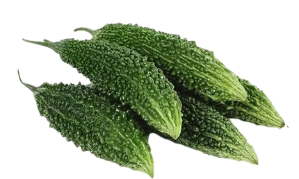 Indian Karela 1lbs
