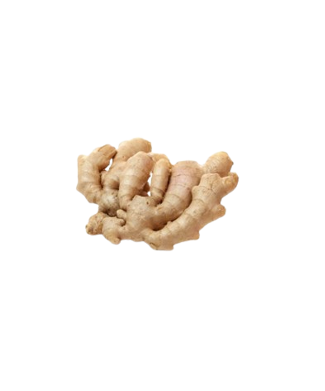 Indian Ginger