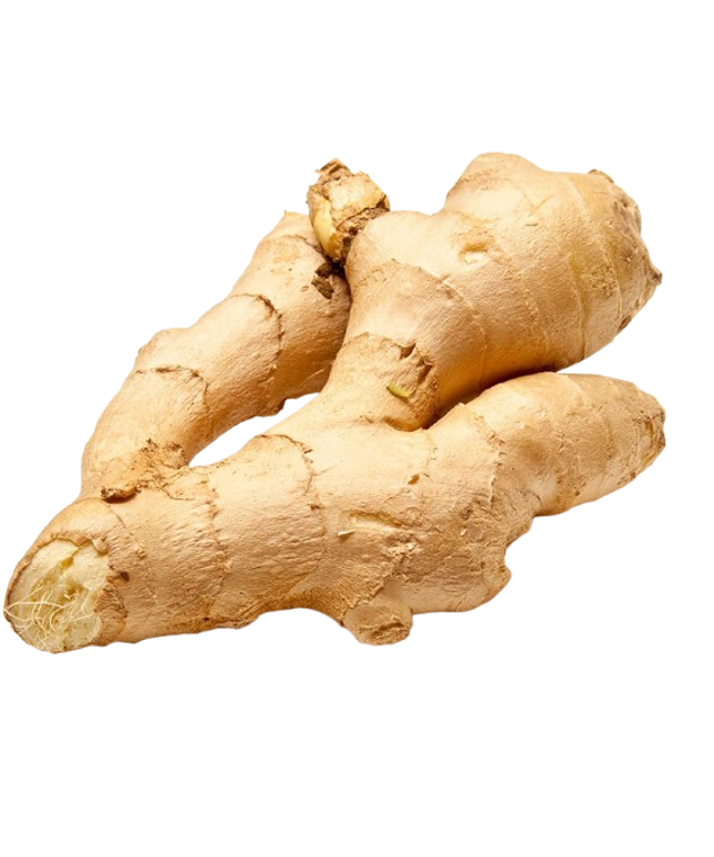 Ginger