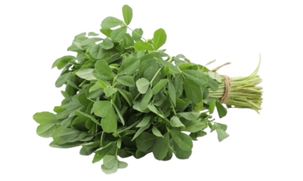 Fresh Methi Leaves Bunch