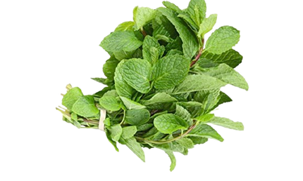 Mint Leaves Packet