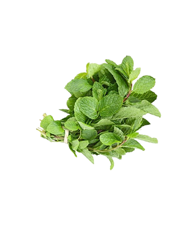 Mint Leaves Packet