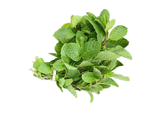 Mint Leaves Packet